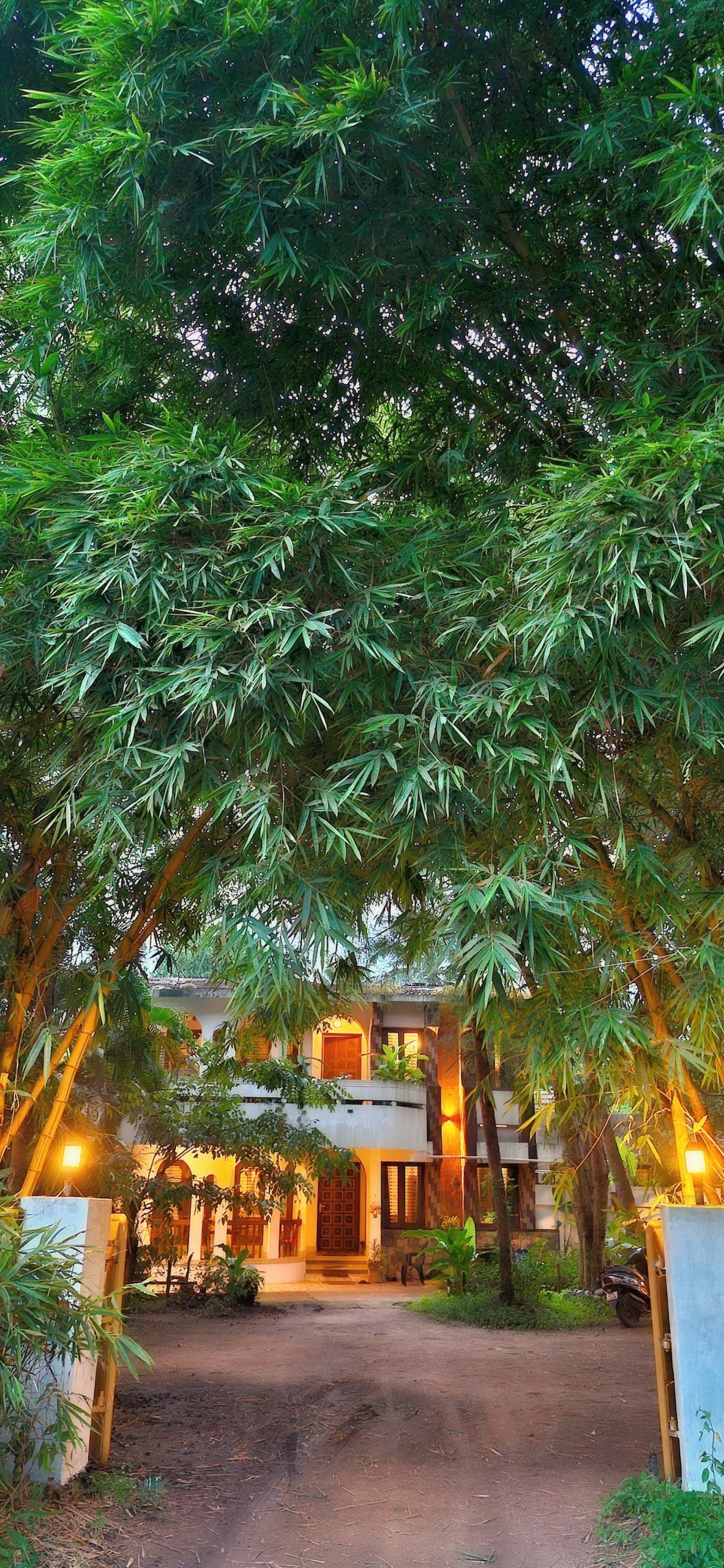 A narrow pathway lined with lush bamboo leads to a two-story villa, partially hidden among vibrant foliage. Soft lights illuminate the property, highlighting its inviting entrance. The surrounding greenery creates a serene environment, enhanced by the natural beauty of the landscape.