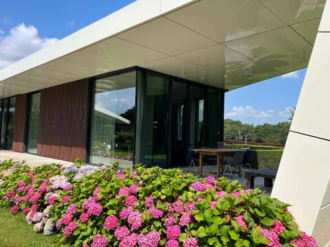 Klingkenberg Suites, Peace and Tranquility