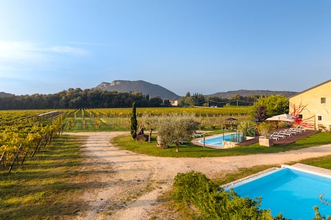 Farmhouse '700 in the vineyard - Clara