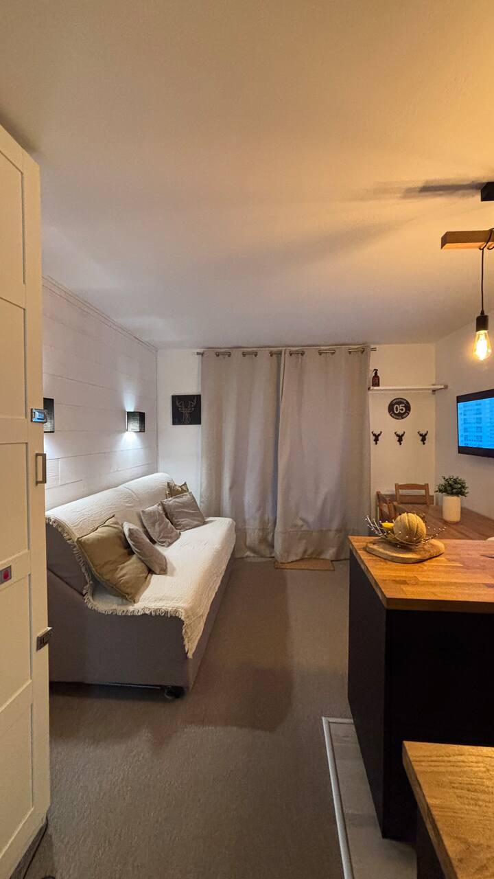 Appartement Balcon Plein Sud, Ski Aux Pieds - Risoul