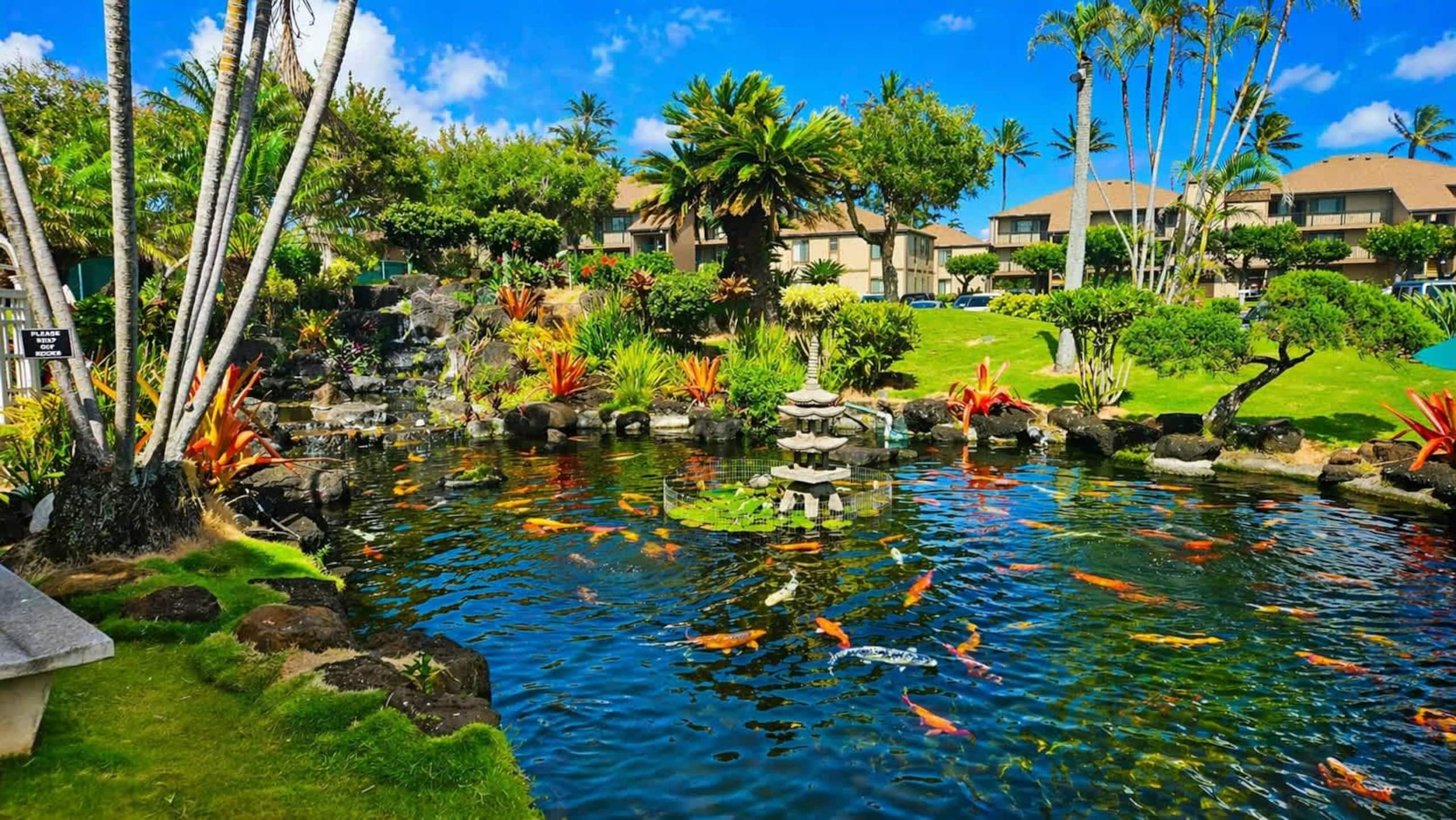Condo in Kapaa · ★4.43 · 2 bedrooms · 3 beds · 2 shared baths - Image 29