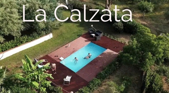 An aerial view showcases a swimming pool surrounded by a wooden deck. Lounge chairs and a shaded seating area are visible, complemented by lush greenery and mature trees that border the space. The serenity of the garden enhances the outdoor atmosphere.