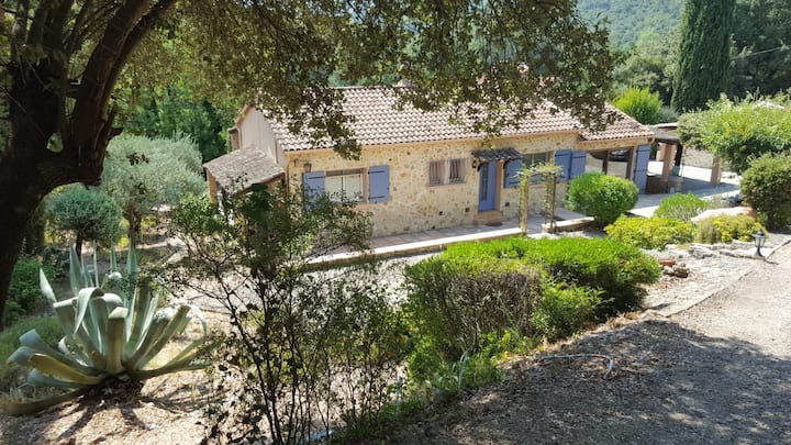 Villa Provençale, Pétanque, Piscine, Pleine Nature - Le Thoronet