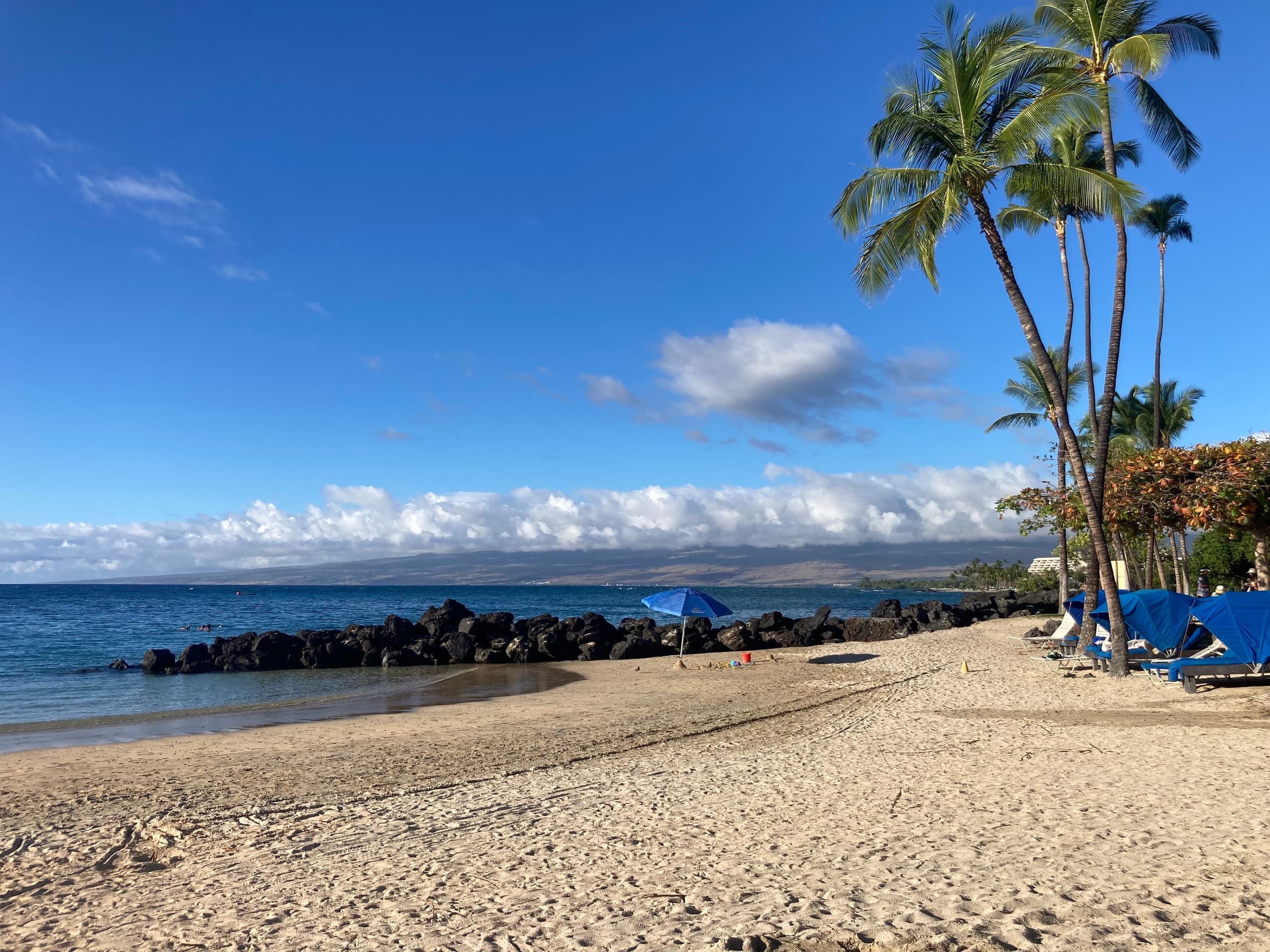 Condo in Waimea · ★4.83 · 2 bedrooms · 4 beds · 2 baths - Image 29