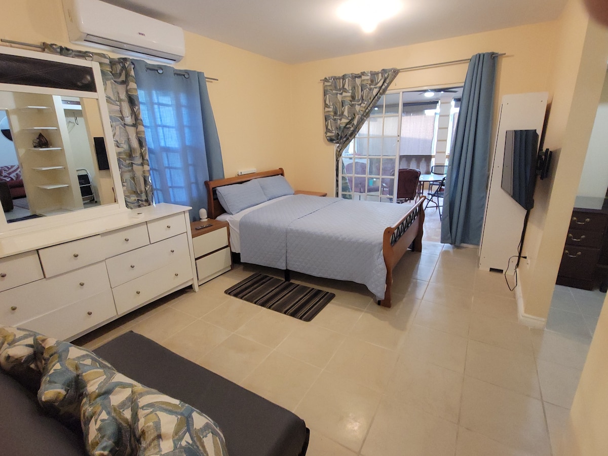 главна спална соба со кауч на спуштање кој обезбедува дополнително спиење за двајца