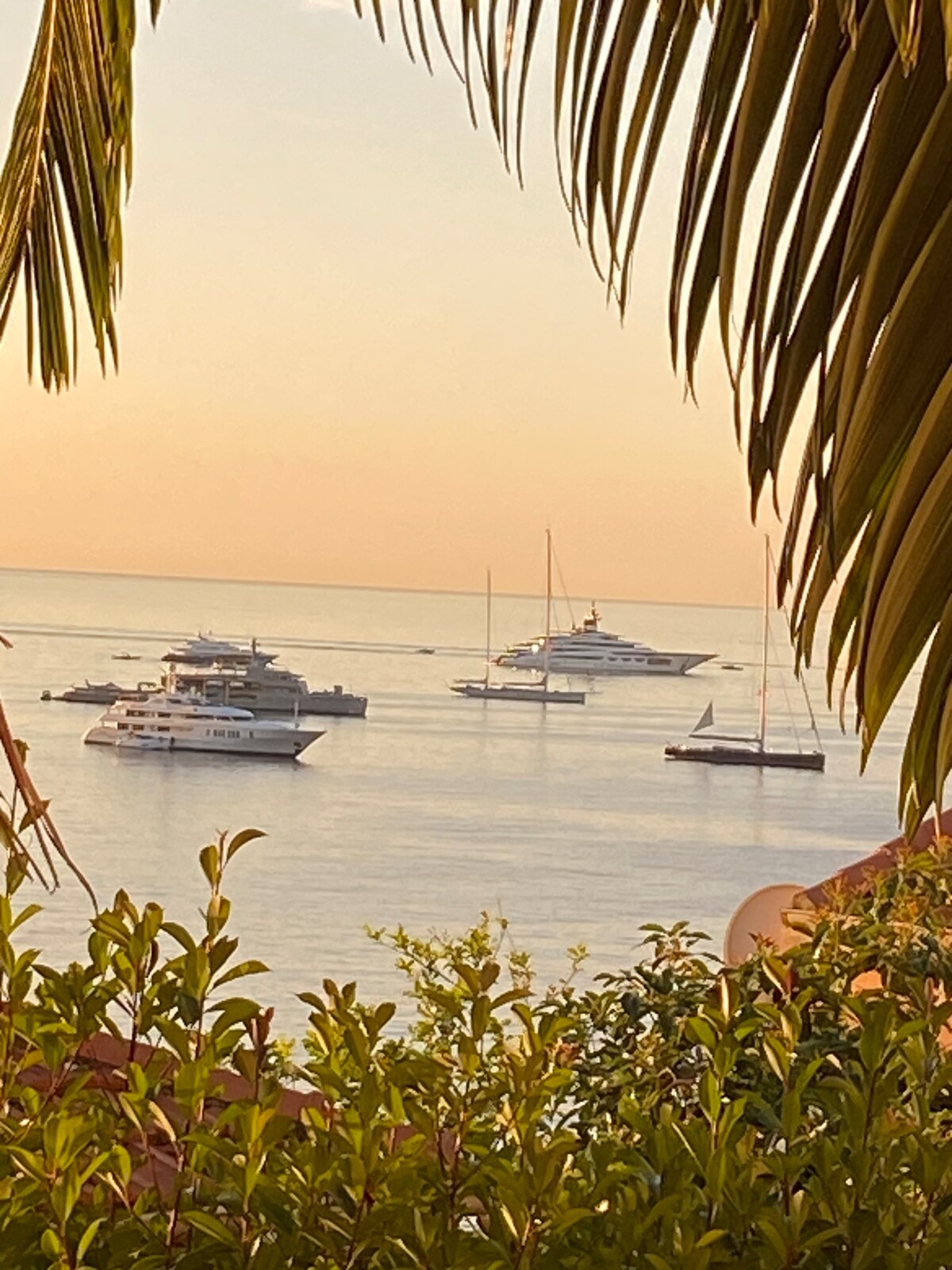 A serene coastal view is captured, featuring several yachts and sailboats anchored in calm waters. The soft colors of sunset create a warm ambiance, framed by lush greenery and palm fronds in the foreground.