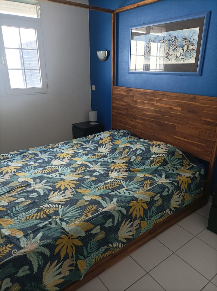 卧室配备160 x 200的顶篷床