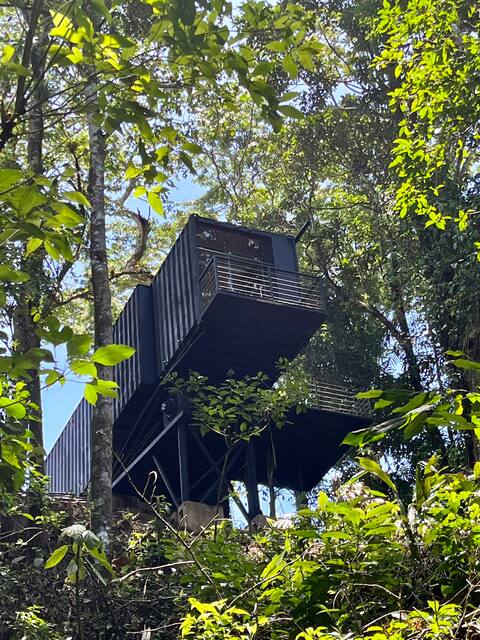 in the treetops/hammock bridge, birds, trail