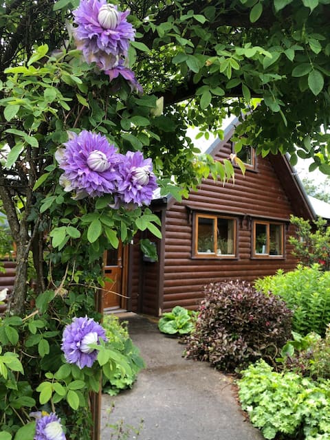 Fern Lodge, Log Cabin in Drumcoura Lakeside Resort