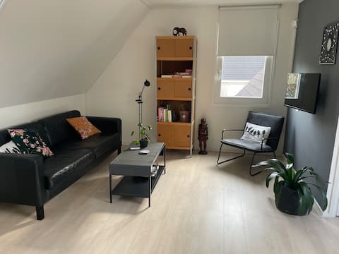 Popular Airbnb listing: (Private) retreat on the Veluwe in Ede