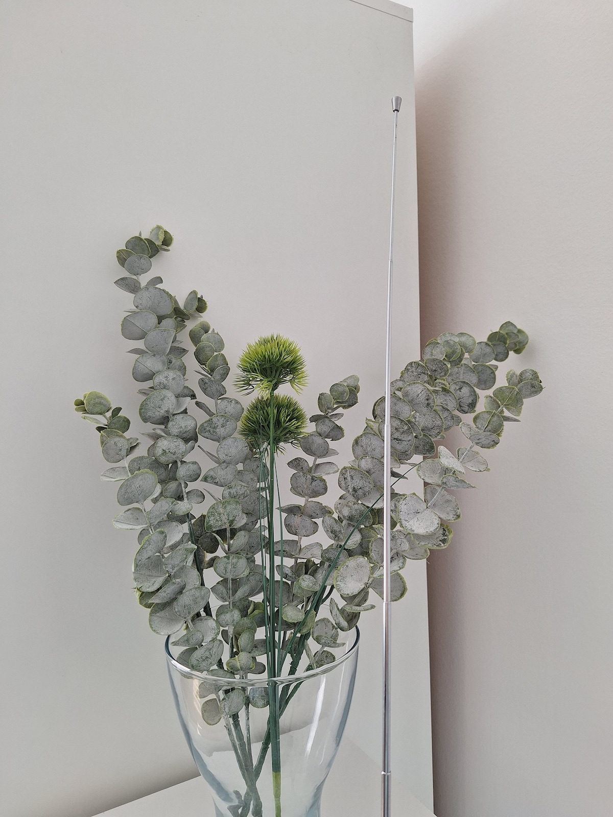A clear vase holds an arrangement of greenery, including long eucalyptus leaves and a spherical green accent. The soft texture and varying shades of green contribute to a serene ambiance. The backdrop features light-colored walls, enhancing the overall brightness of the scene.