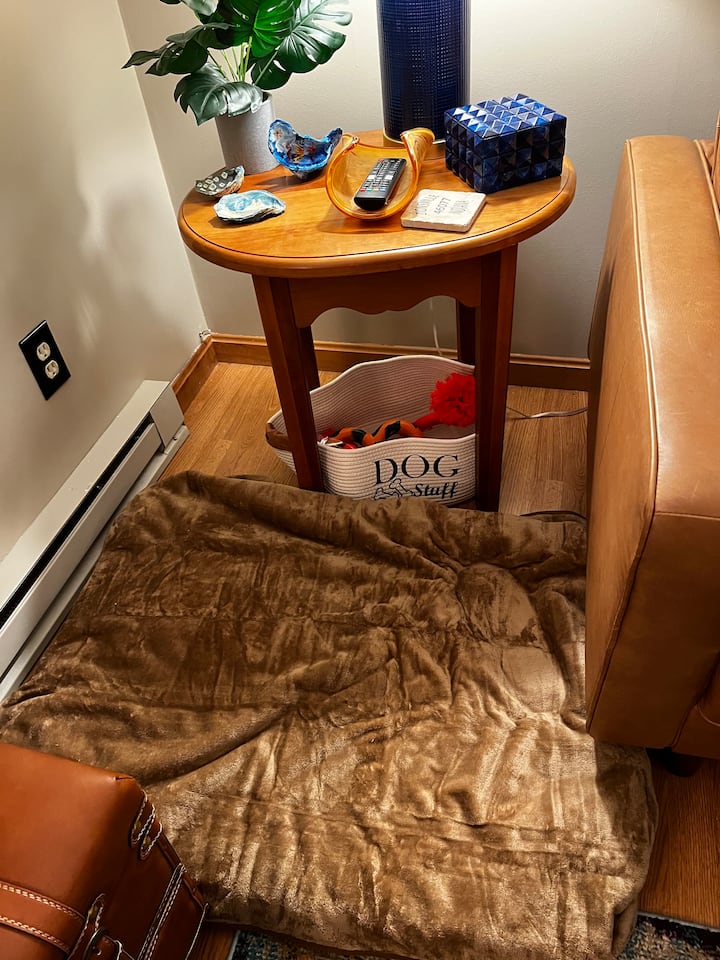 Comfortable spot for your dog. There is a bed and toys for your dogs (up to 2)
