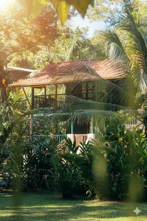 Casa de Mono Jungle Villa Apartment by the Beach