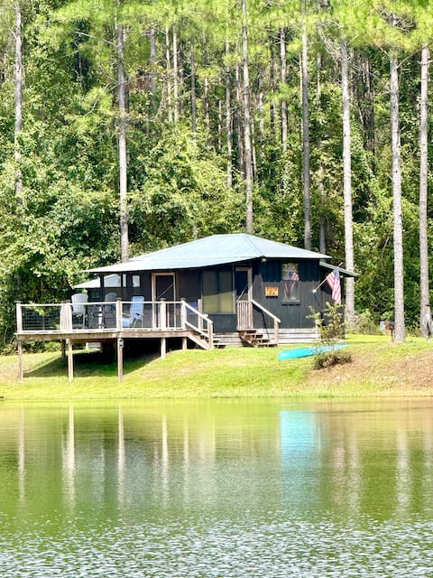 81 Pines 1-The Cabin