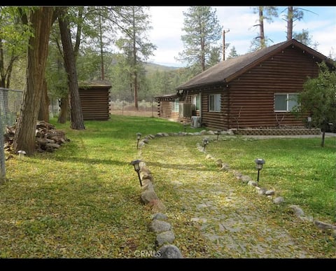 Vintage classic cabin