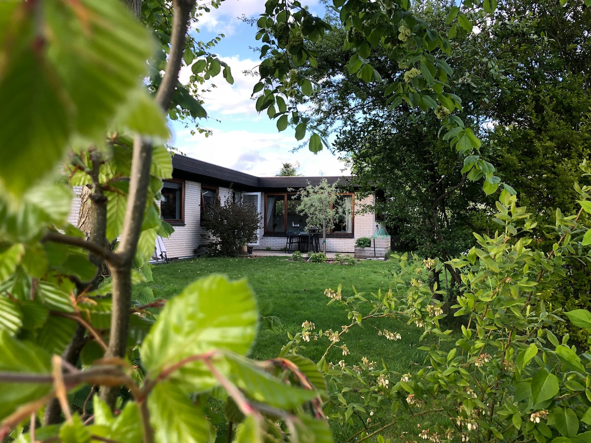 The exterior of the house is framed by lush greenery, featuring large windows that open to a welcoming outdoor area. A patio with seating is visible, surrounded by a well-maintained lawn and various plants, creating a serene atmosphere.