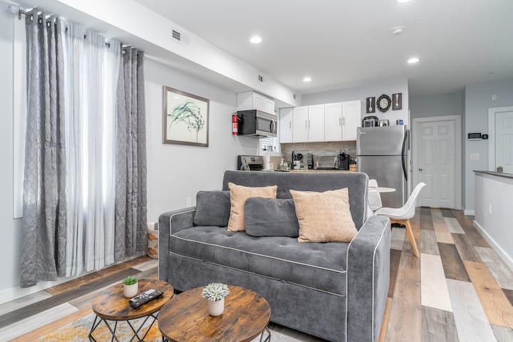 Sleeper sofa, Living room