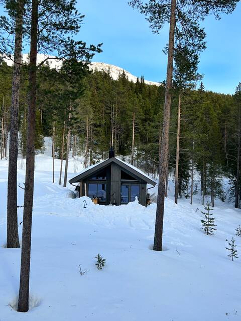 Espedalsvannet Gausdal