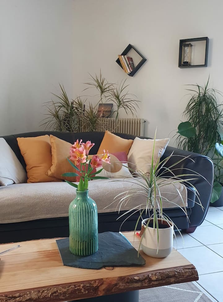 Maison Privée 3 Chambres 6 Voyageurs - Allonnes