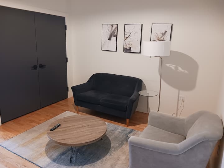 Fully Furnished Exclusive Luxury 1 Bed Loft Elev. - Hartford, CT
