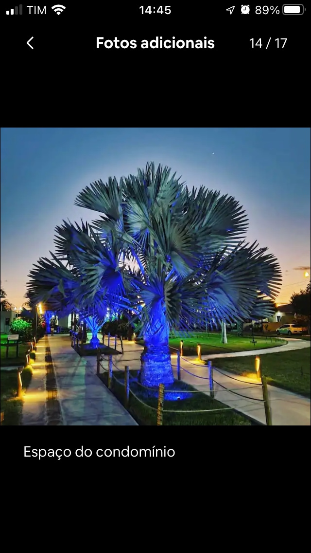 A well-lit pathway is lined with green grass and surrounded by palm trees, enhanced by soft blue lighting. The walkway gently curves through the area, leading to a tranquil environment suitable for evening strolls.