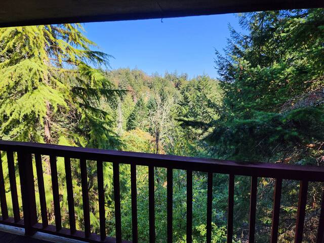 The TreeHouse Cabin! Private&Tranquil gallery image 4