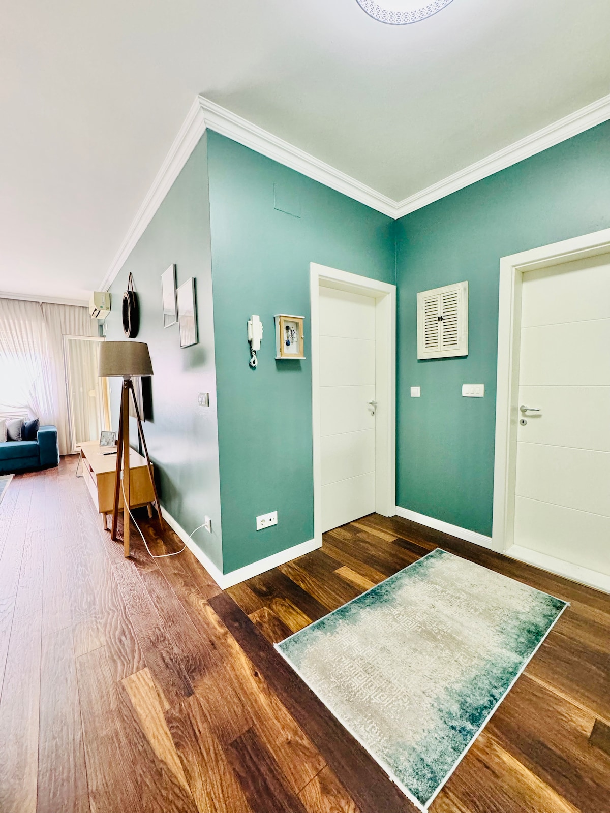 The entrance features a vibrant green wall, contrasted by white doors leading to private spaces. A plush area rug lies on the dark wooden floor. Natural light enters from a nearby living area, creating a welcoming ambiance.