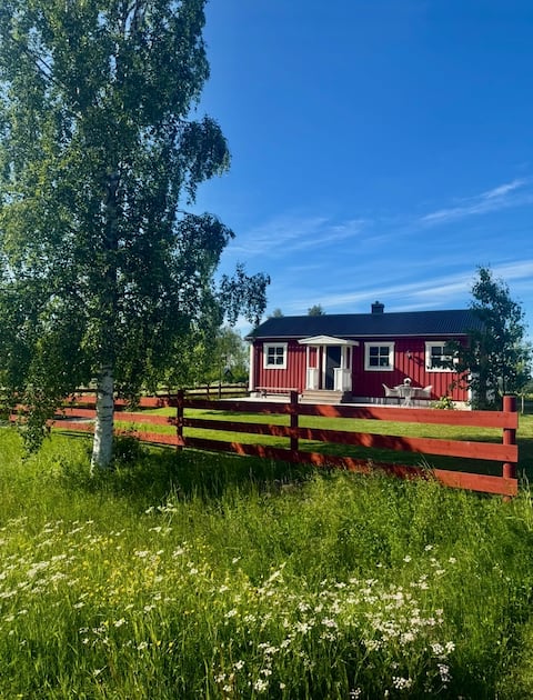 Popular Airbnb listing: Small house in the countryside. in Krokom