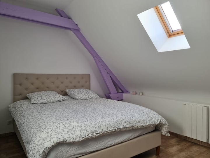 Habitación 1