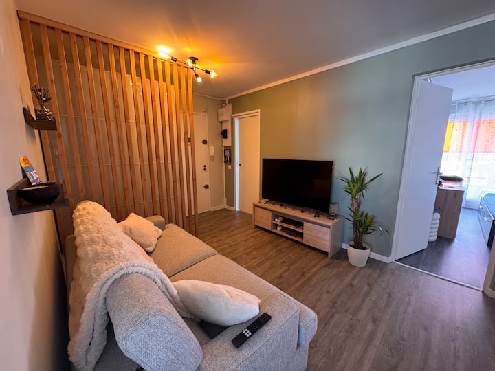 Chambre Double  500 M Halle Tony Garnier +Parking - リヨン