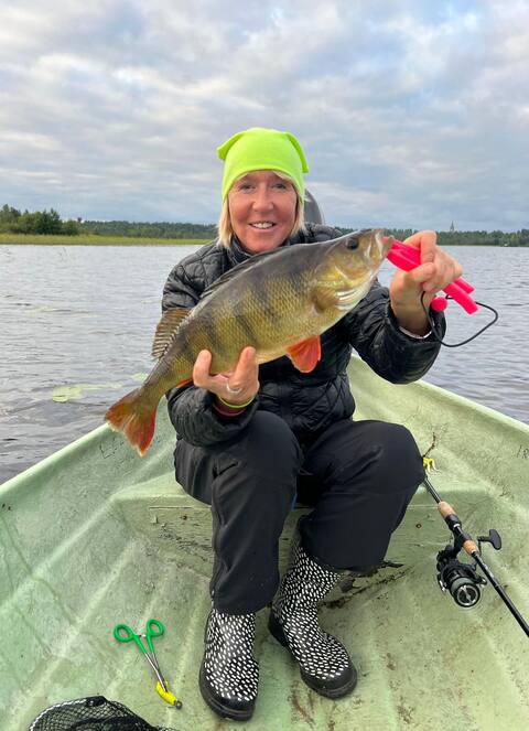 Luxury villa Villa Aleksandra, close to Juva