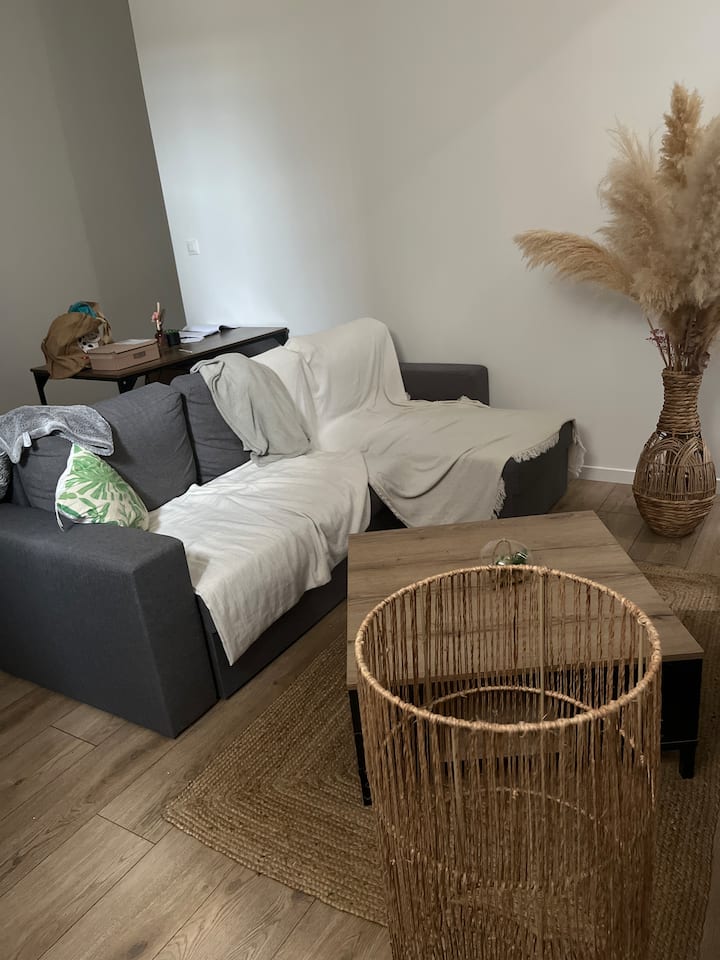 Appartement Centre-ville - Libourne