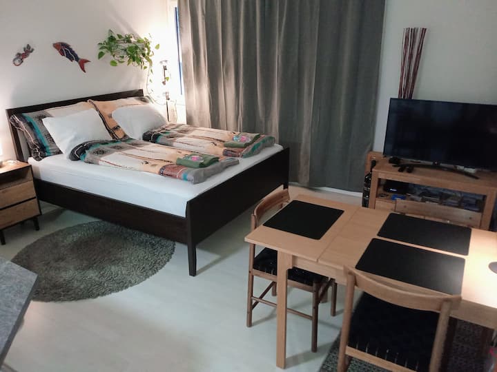 Esta nueva y cómoda cama tamaño queen (desde el 25 de enero de 2026) está en la sala de estar, incluida una nueva mesa de comedor y una cocina abierta.