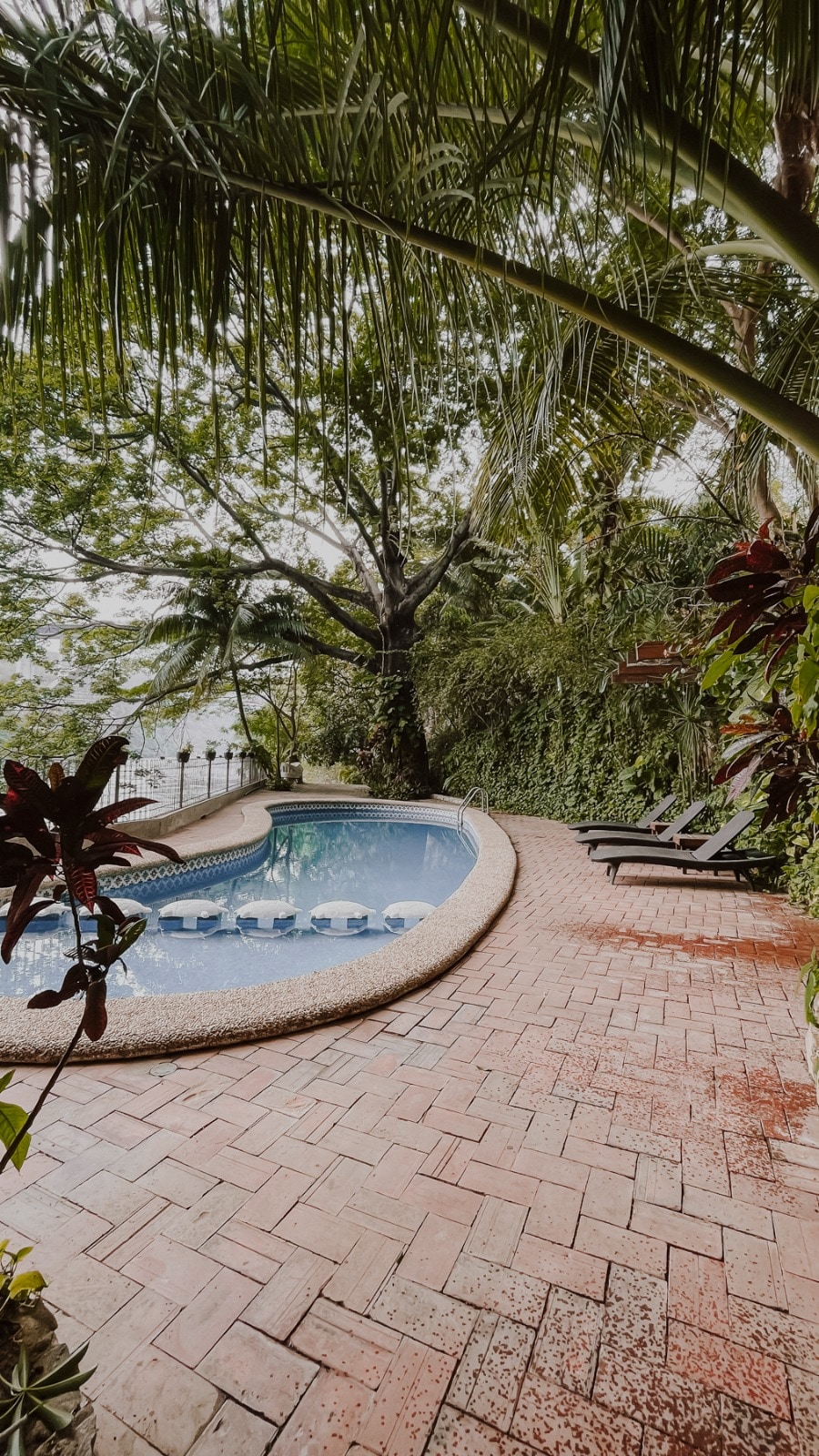 A tranquil pool area is surrounded by lush greenery, with a curved pool featuring built-in seating along one side. A textured brick patio is lined with lounge chairs, complemented by tropical plants that enhance the serene outdoor space.