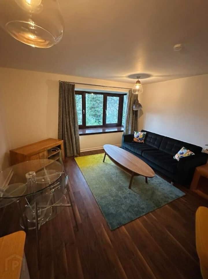 Beautiful Two Bedroom Apartment In City Centre - 貝爾法斯特
