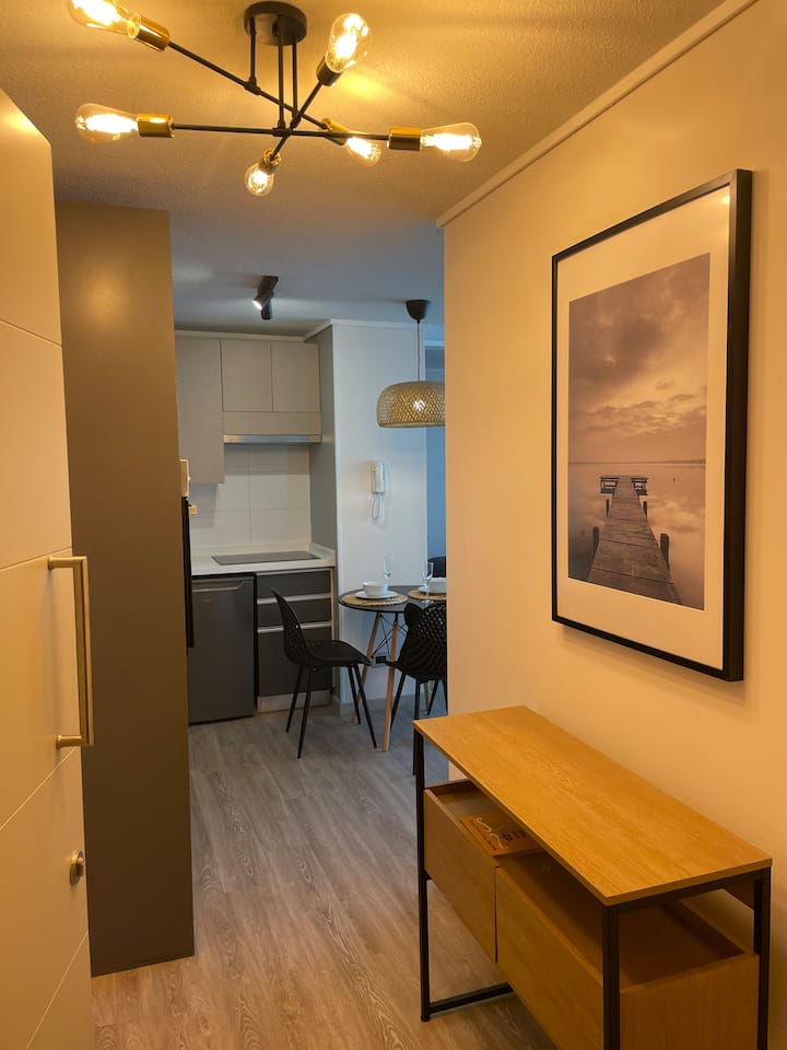 Moderno Departamento 2d/2b | Metro + Barrio Italia - Santiago