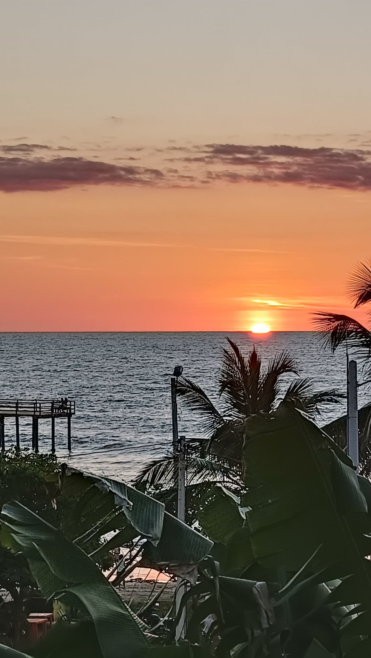 A serene sunset is captured over the ocean, with vibrant orange and pink hues reflecting on the water. Silhouettes of palm trees and tropical foliage frame the scene, while a distant pier is visible against the horizon.