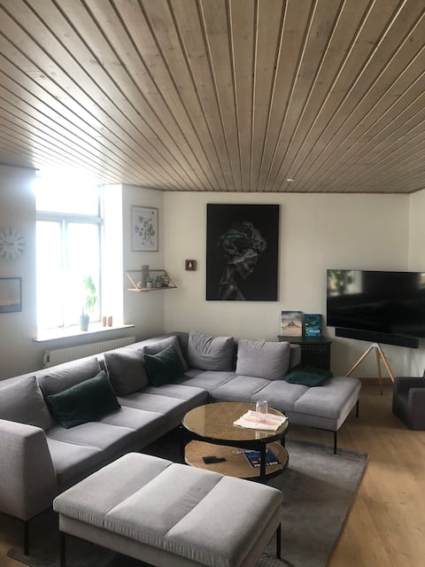 Super bright apartment in the middle of the city