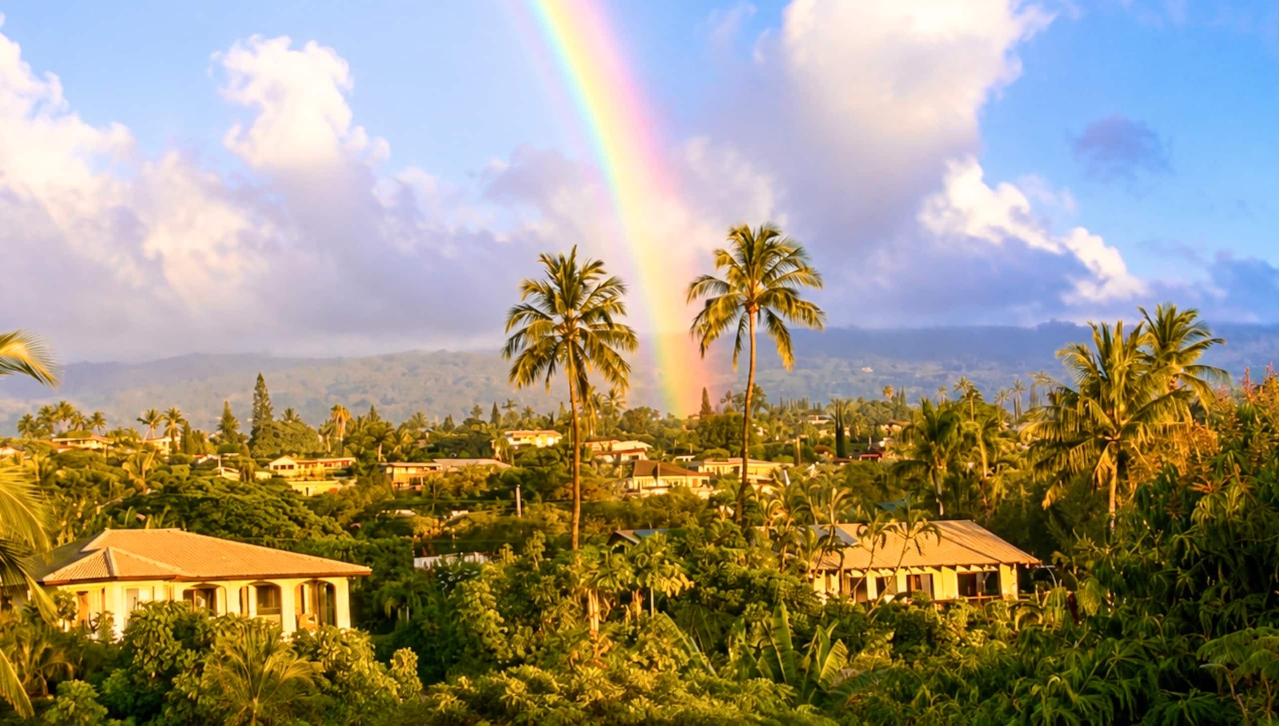 Private Ocean View Cottage Near Wailea - Sunsets - Image 33