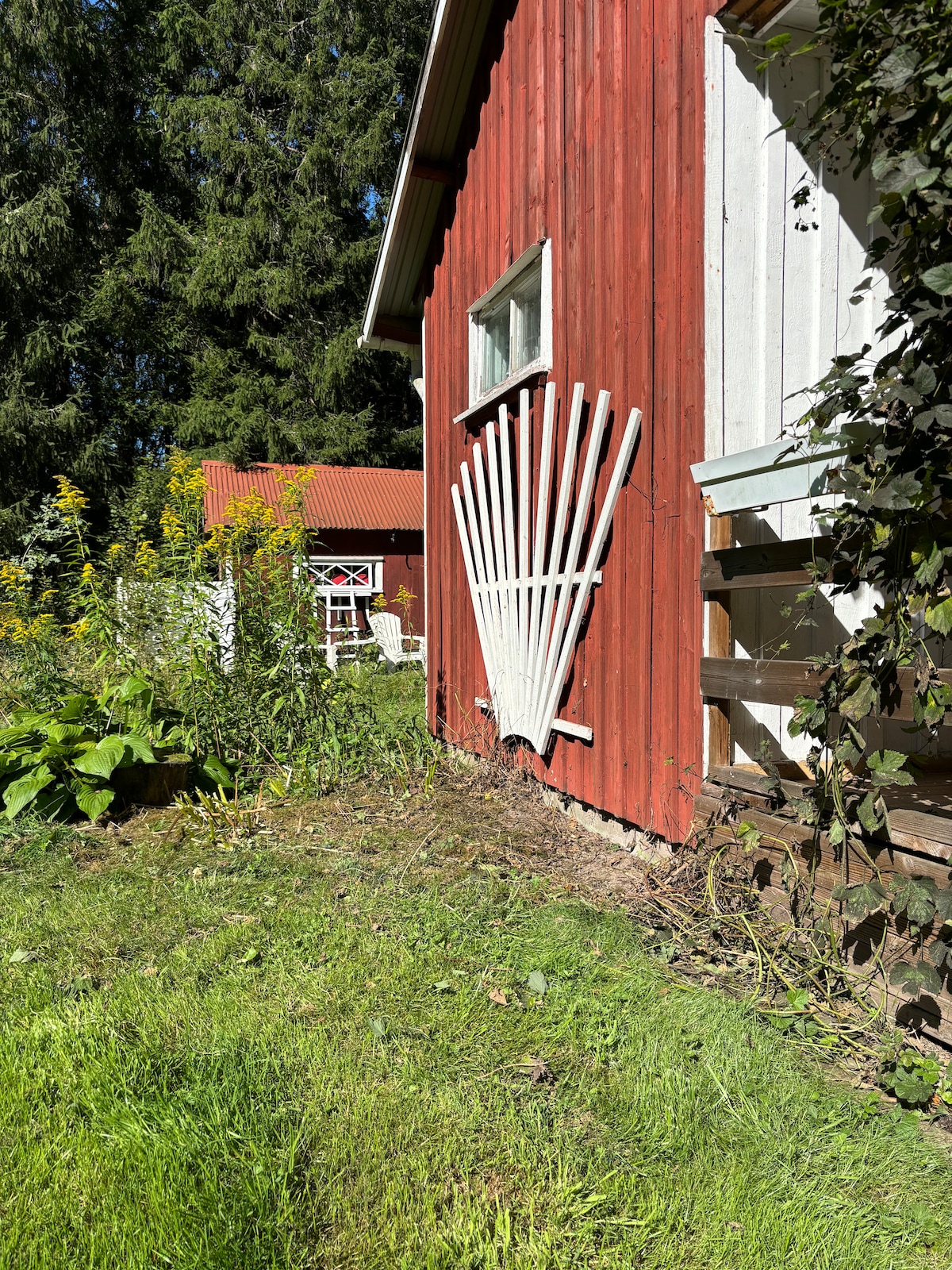 A rustic exterior of a red wooden building is seen, featuring decorative white wooden slats arranged in a fan shape. Lush green grass and vibrant yellow flowers surround the area, while a glimpse of a secondary structure and white chairs can be seen in the background.