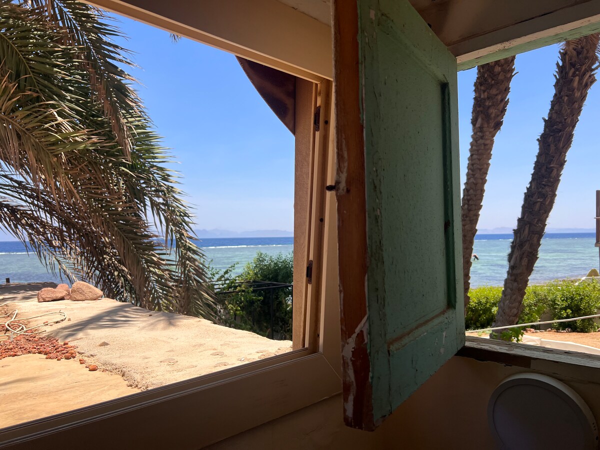 A view from an open window reveals palm trees swaying beside a bright sea. The gentle waves shimmer under the sunlight, and distant hills can be seen across the water. The green window shutters add a touch of color to the serene outdoor scene.
