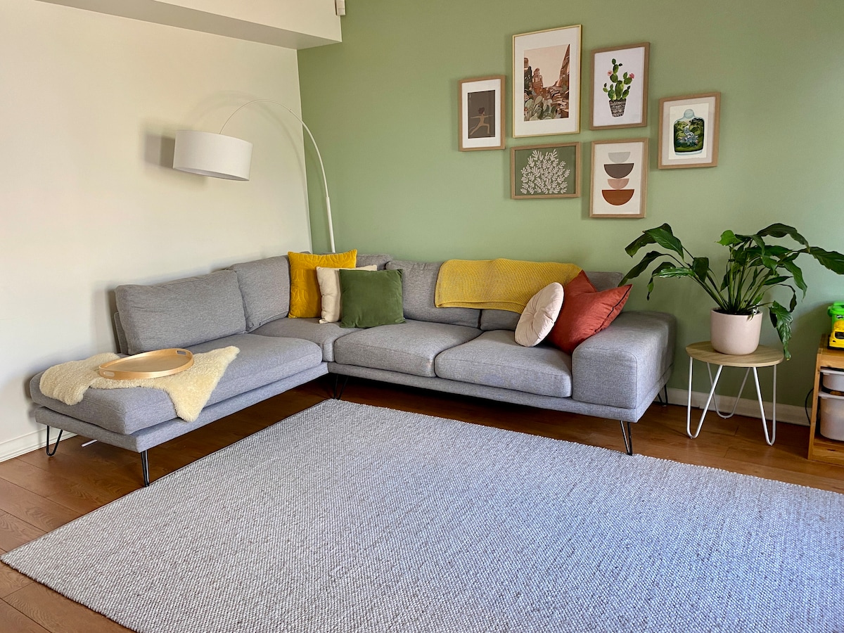 A modern living area features a light grey sectional sofa adorned with colorful cushions and a cozy throw. A large area rug covers the wooden floor, while a potted plant adds a touch of greenery. Wall art is arranged above the couch, complementing the soft green walls.