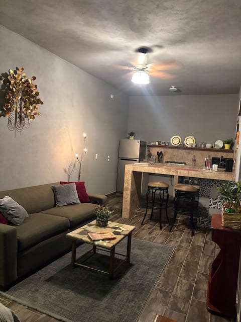 Top Airbnb: Gray Suite modern, closed garage We bill en Saltillo