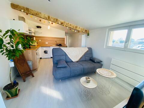 Independent Canal de Garonne apartment