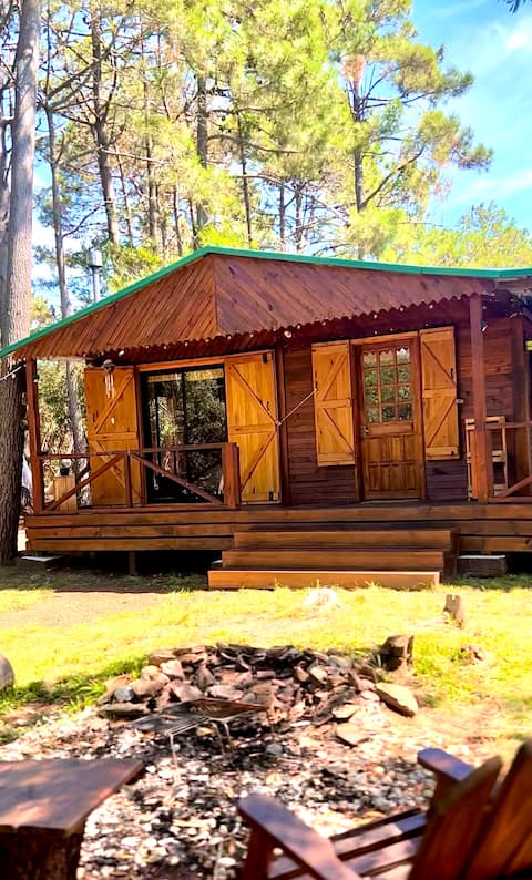 Cabin in the woods with a wood-burning stove and a wood-burning stove.