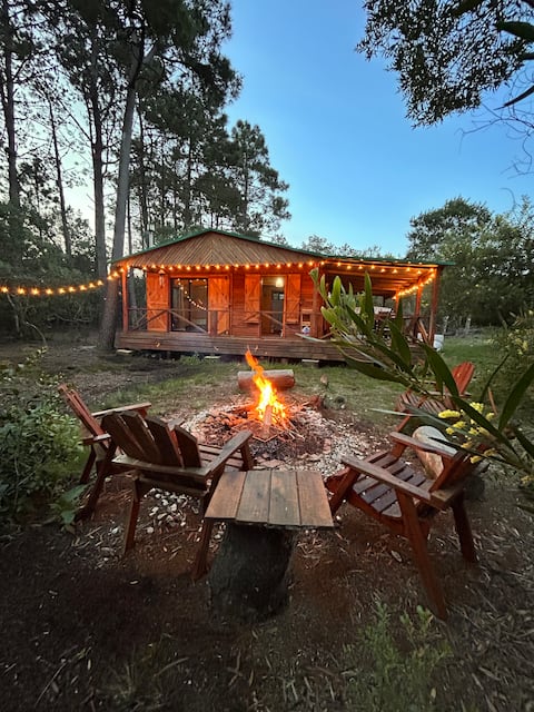 Cabin in Oceania del Polonio, forest and sea.