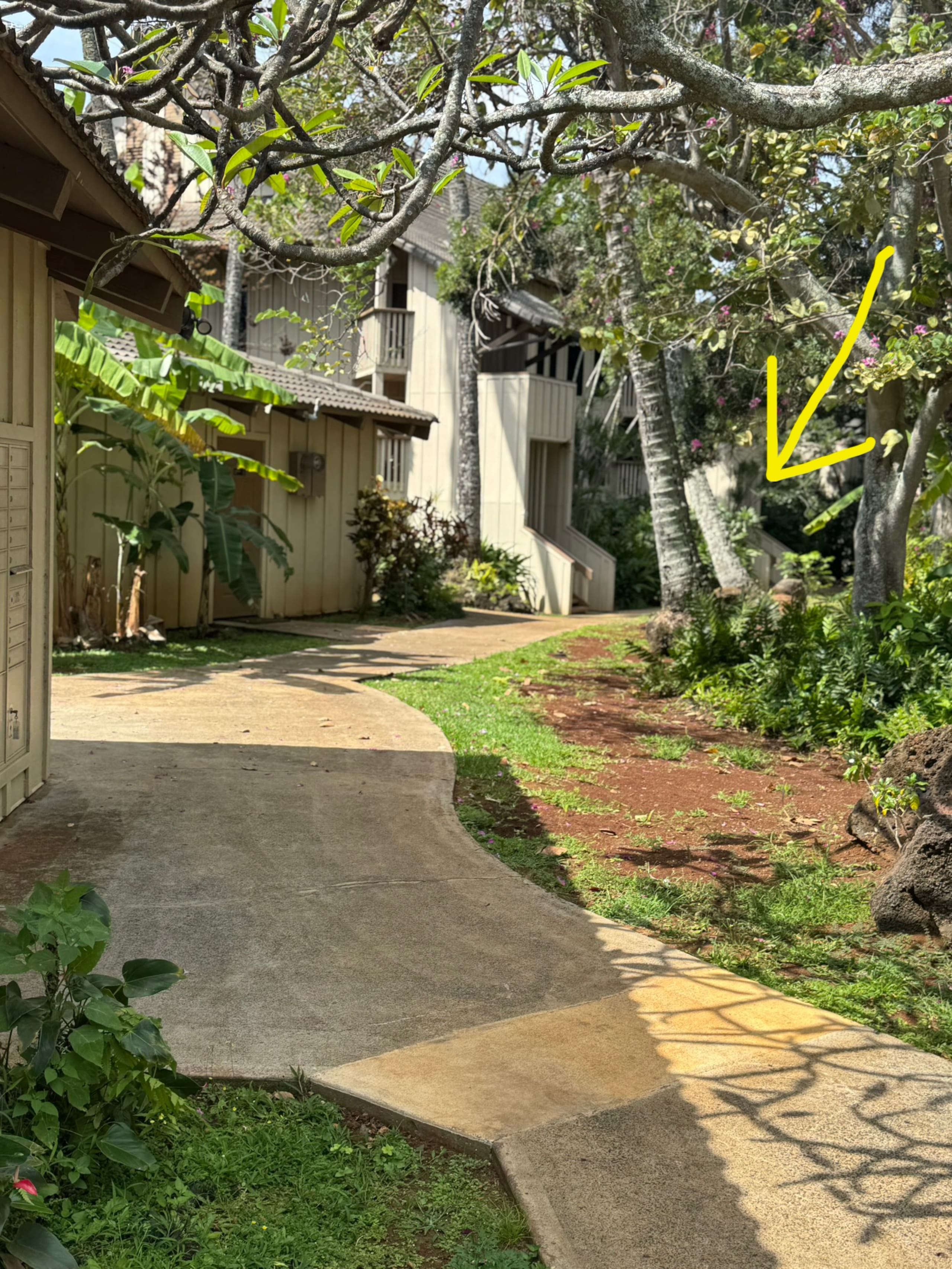 Condo in Koloa · ★4.92 · 2 bedrooms · 2 beds · 2 baths - Image 23