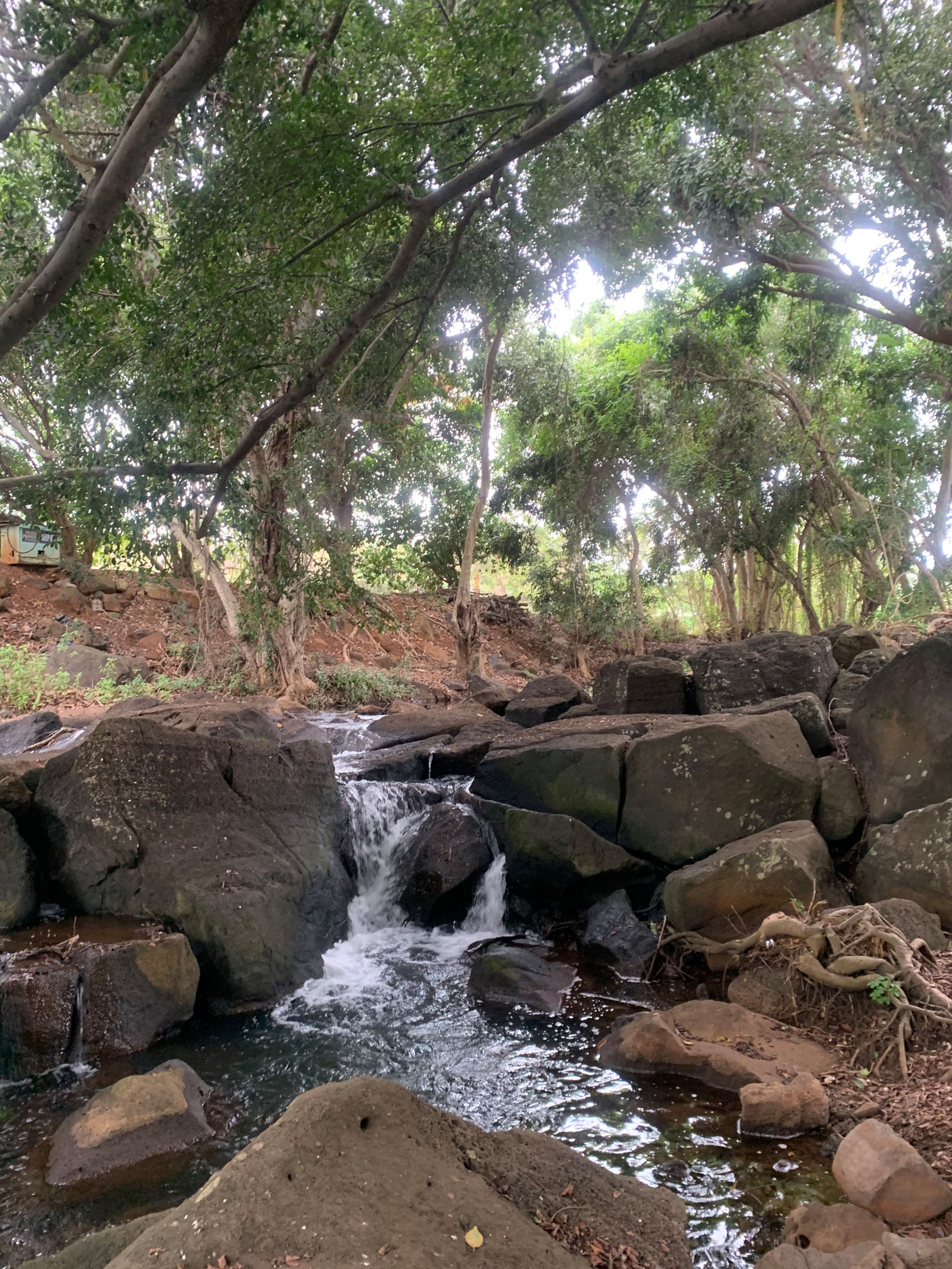 Condo in Koloa · ★4.92 · 2 bedrooms · 2 beds · 2 baths - Image 25