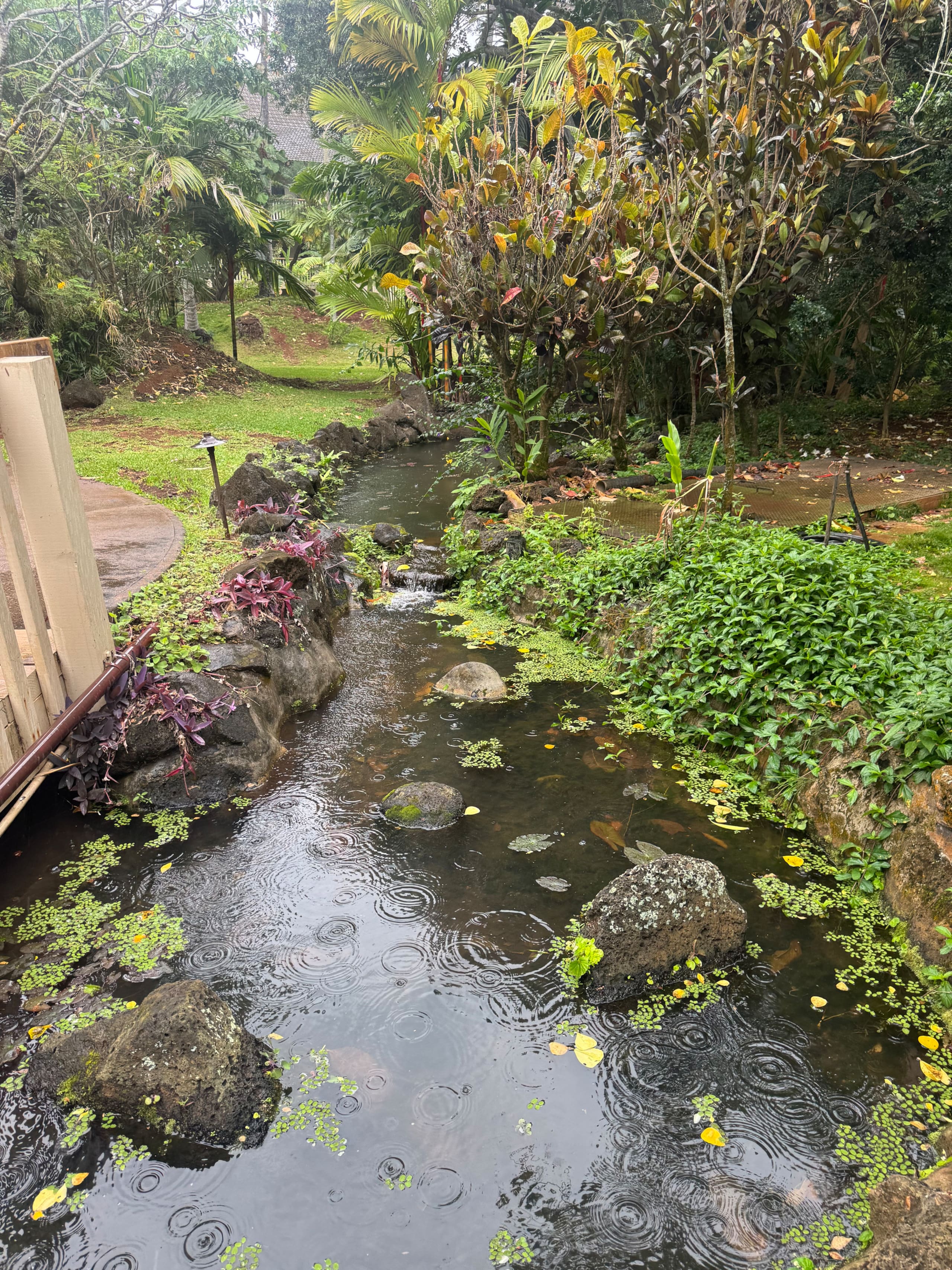 Condo in Koloa · ★4.92 · 2 bedrooms · 2 beds · 2 baths - Image 44