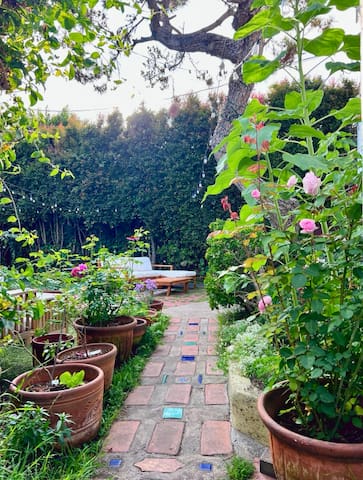 Cozy home with a big beautiful garden